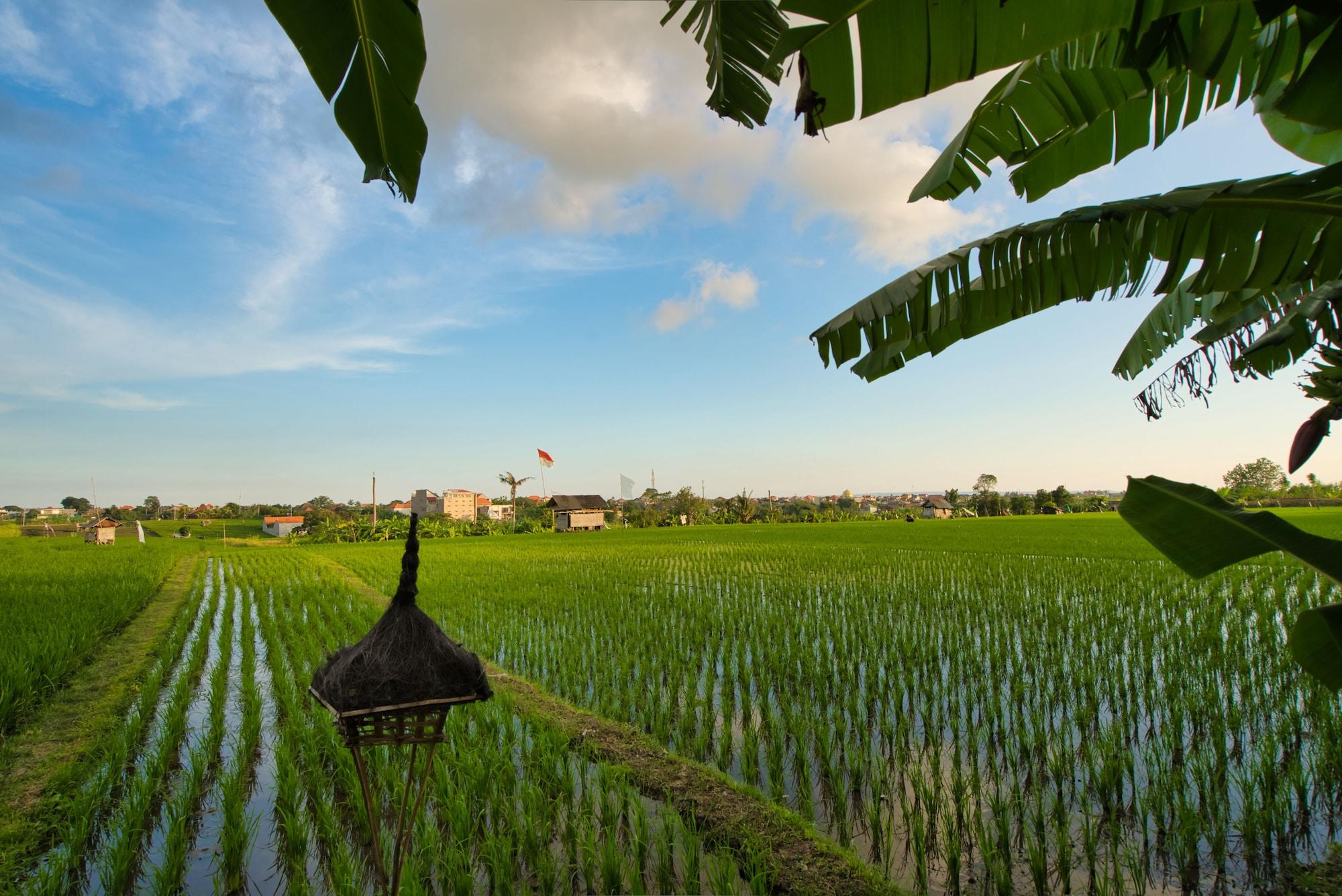 Sotis Villas Canggu  Luaran gambar